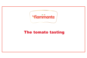 The tomato tasting