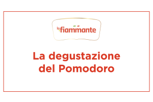 La degustazione del pomodoro