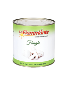 Funghi champignon
