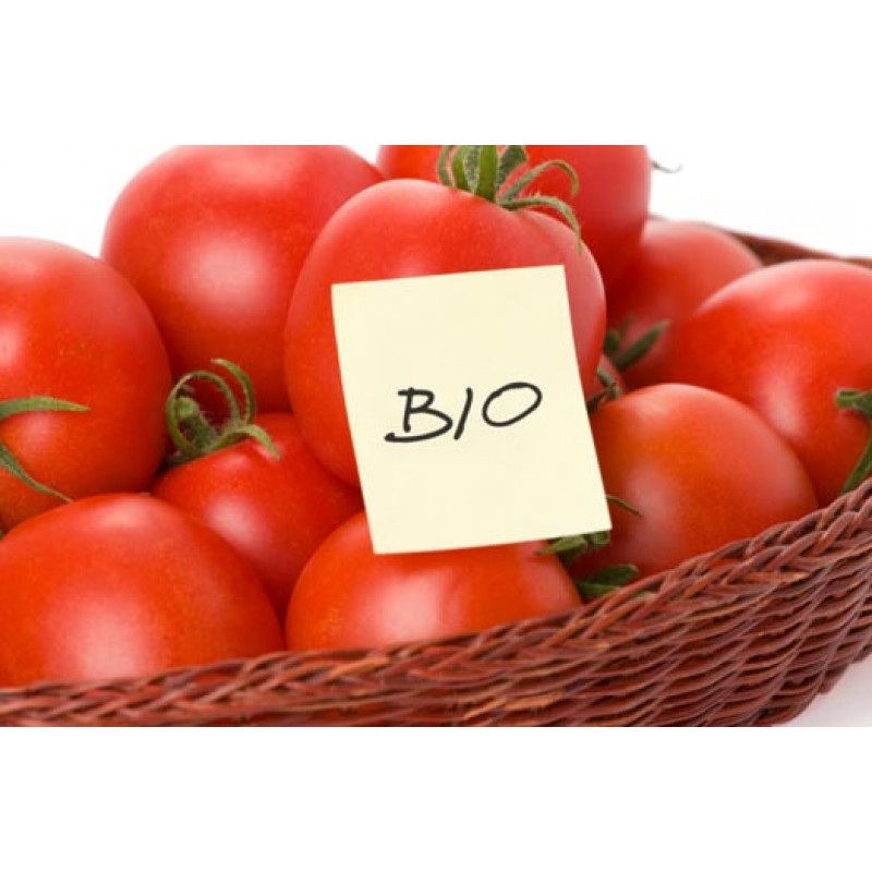 POMODORI BIOLOGICI? SÌ, GRAZIE